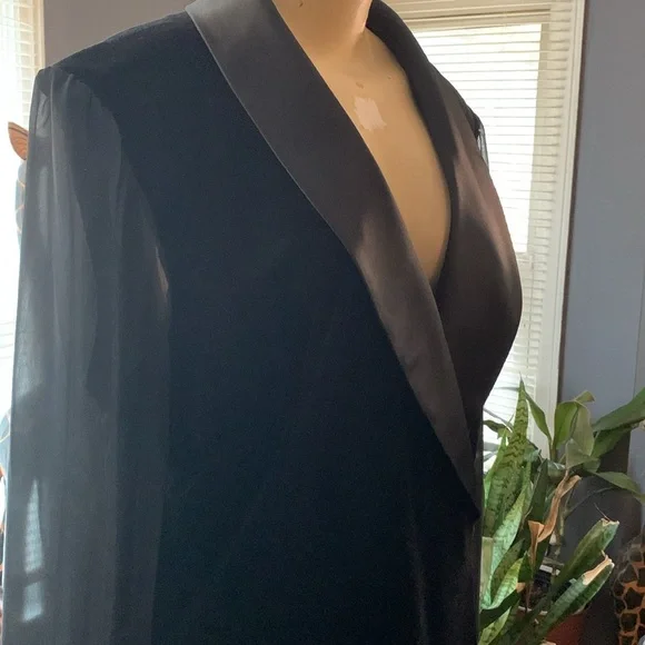 Velveteen Sheer top - Picture 3 of 4